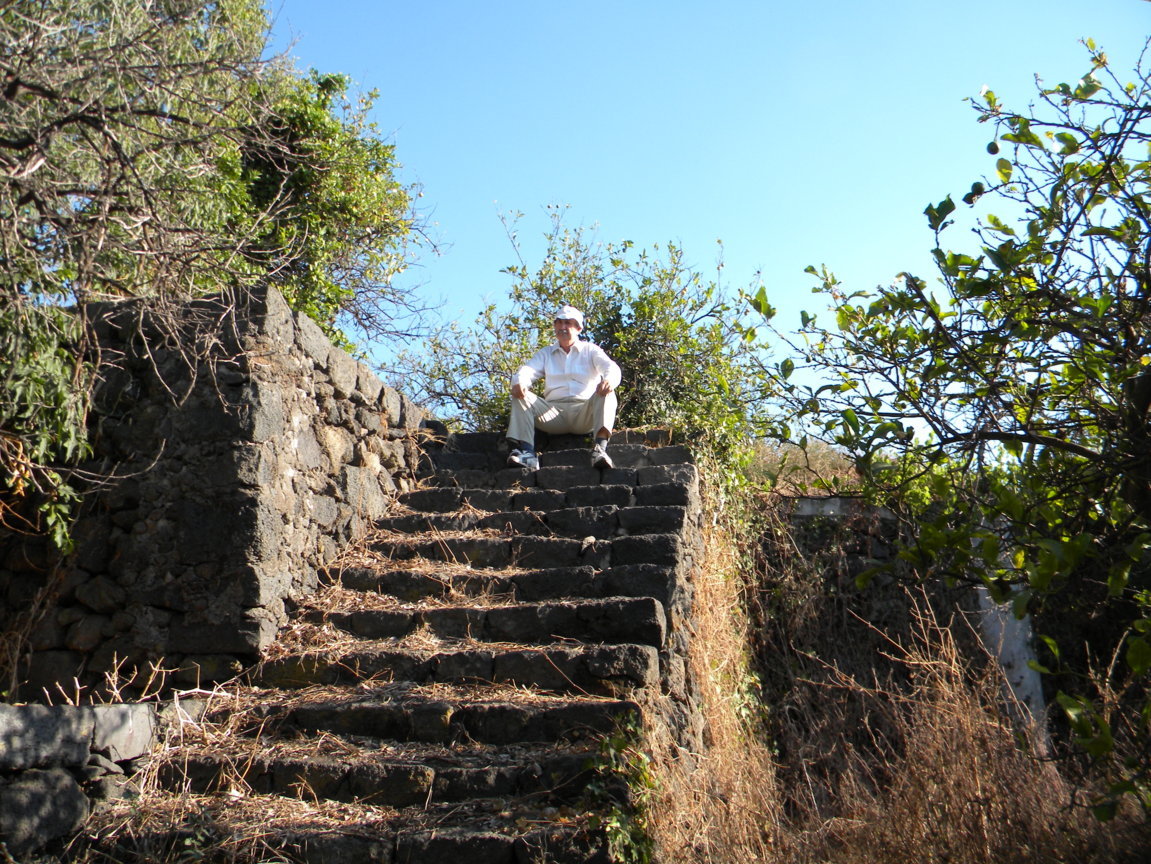 DSCN8086 .JPG